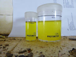 Test 2 Tap Water Sample