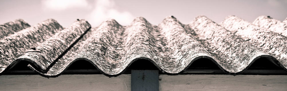Asbestos Survey Hero Image