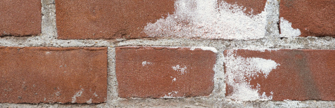 Brick wall with efflorescence