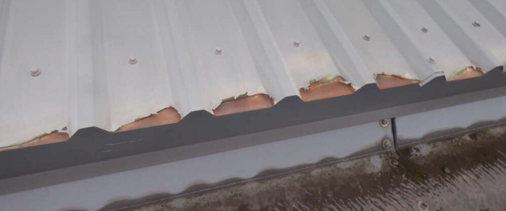 Corrugated Roof with split at the end