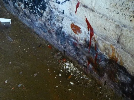 Test 1 Sample Sample Location