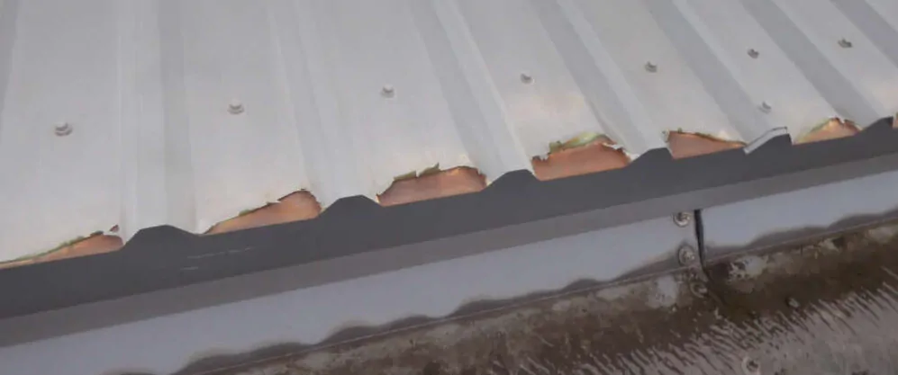 Corrugated Roof with split at the end